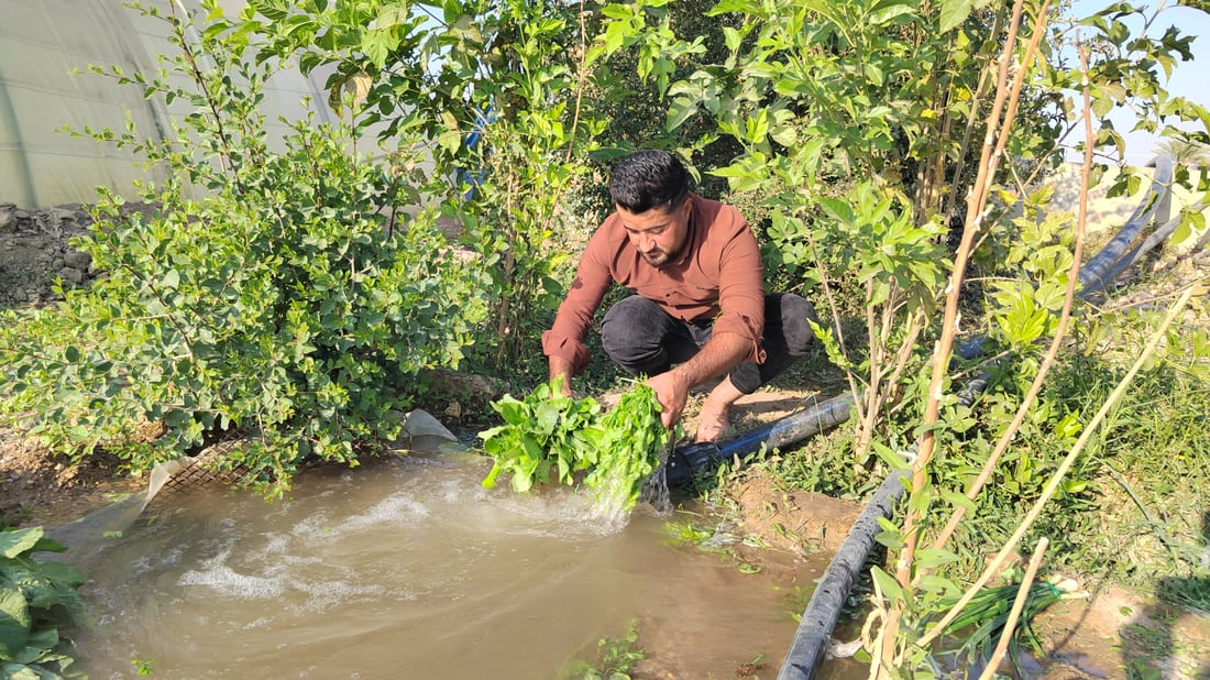 Kalar vegetable seller builds loyal following from a decade of street-to-door service