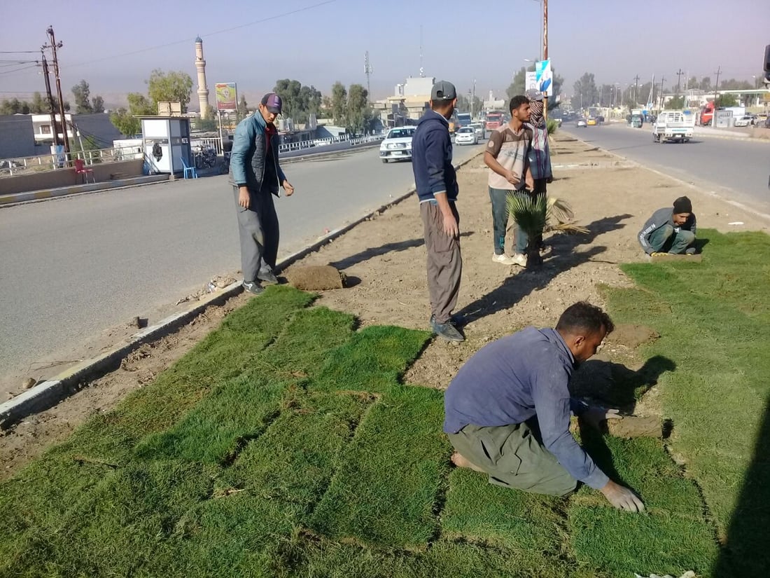 صور: بلدية آلتون كوبري طردت الكلاب السائبة من الجزرة وفرشت “الثيل”