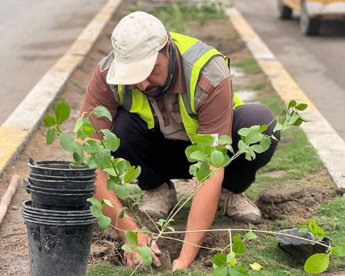 صور من الهندية: تبليط الحمداني اكتمل والأشجار على طول الجزرة حتى شارع طويريج