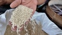 المشخاب بلا رز عنبر هذا العام.. الحكومة منعت الزراعة الصيفية وغرامات للمخالفين