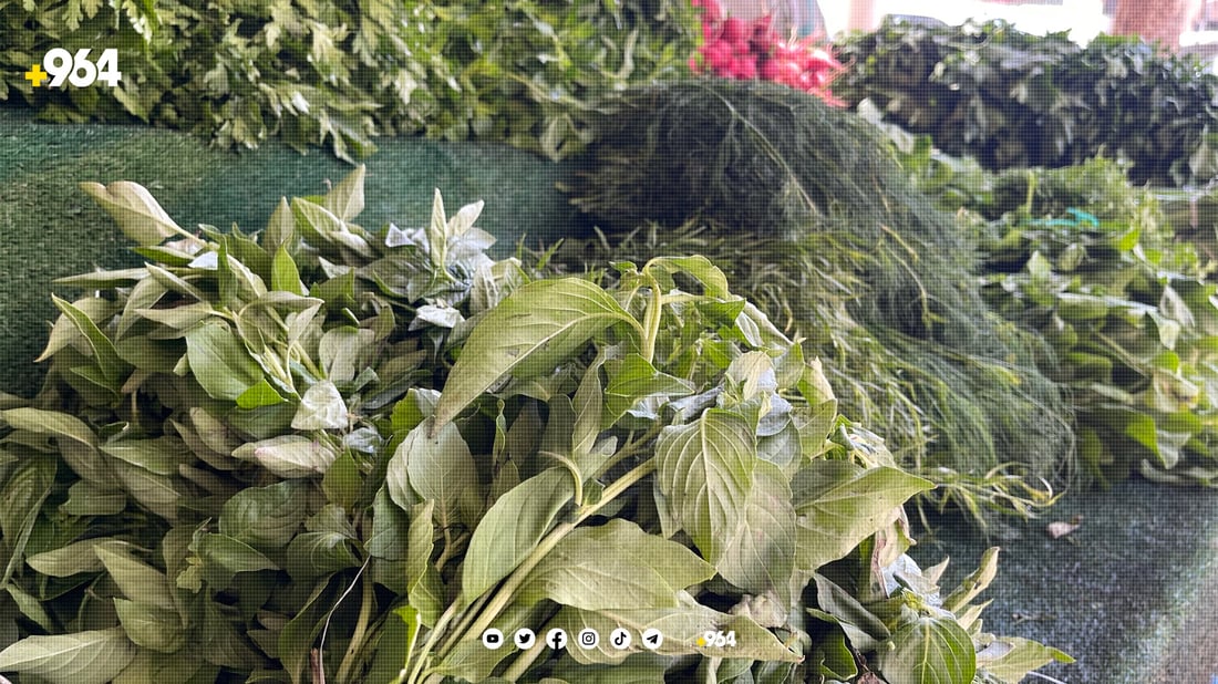 سه‌وزه‌ و میوه‌ی سلێمانی هه‌نارده‌ی ده‌ره‌وه‌ ده‌كرێت