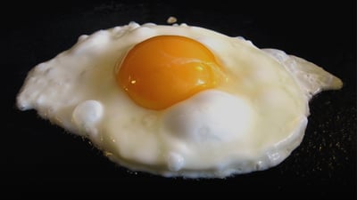 پەڵە و تەنکیت لە هێلکە بینی هەڵە تێمەگە