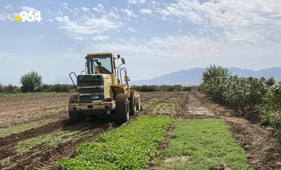لە چوارقوڕنە بە شۆفڵ ئەو زەوییانە تێکدران کە بە ئاوی پیس ئاودەدران