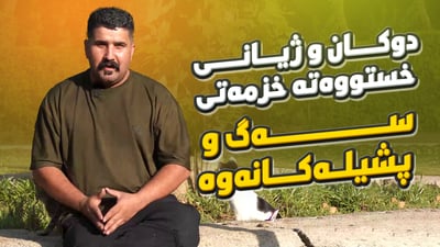 دیار بناسن؛ دوکان و ژیانی خستووەتە خزمەتی سەگ و پشیلەکانەوە