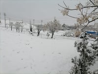 سبەینێ لەم شوێنانە پشووە؛ منداڵەکانتان مەنێرن بۆ قوتا�...