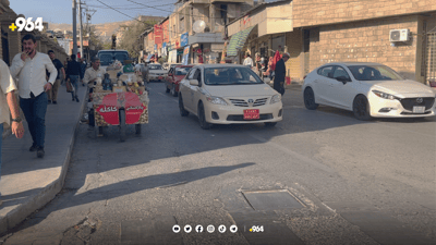 30 ساڵە وەرگێڕی فەلسەفییە و كاری دەستگێڕی دەكات