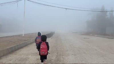 أجواء باردة والضباب يكسو صباح الخالص