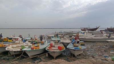 حال بحر البصرة ومواعيد المد والجزر.. الموج معتدل وسرعة الرياح تصل الى 30 كم