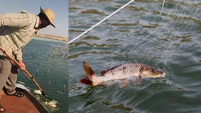 ژینگه‌ى هه‌ولێر سێ راوچی له‌ سنوورى چۆمان دایه‌ دادگا