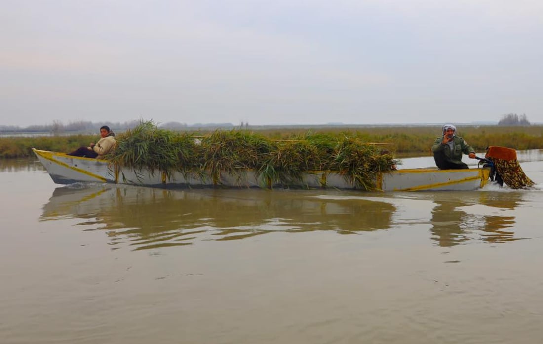 صور من الهور: الحويزة يتنفس من جديد بعد مياه الأمطار الأخيرة