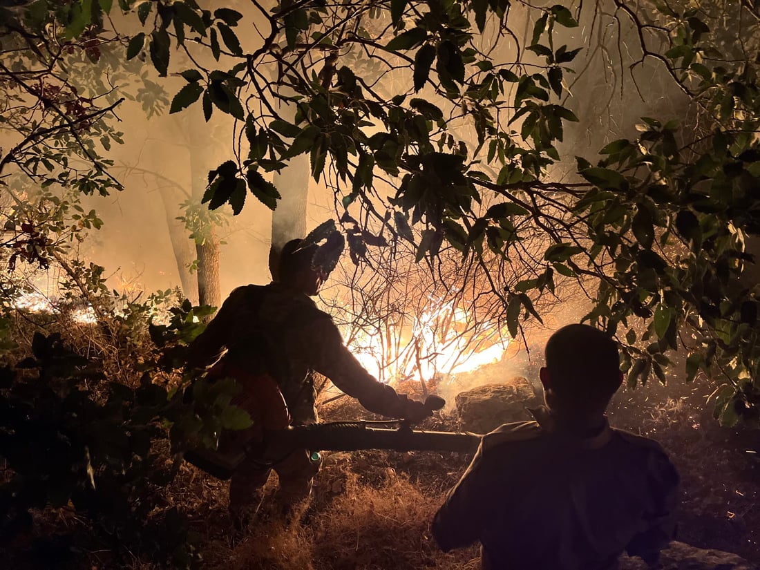 <?php echo get_the_title() ?>