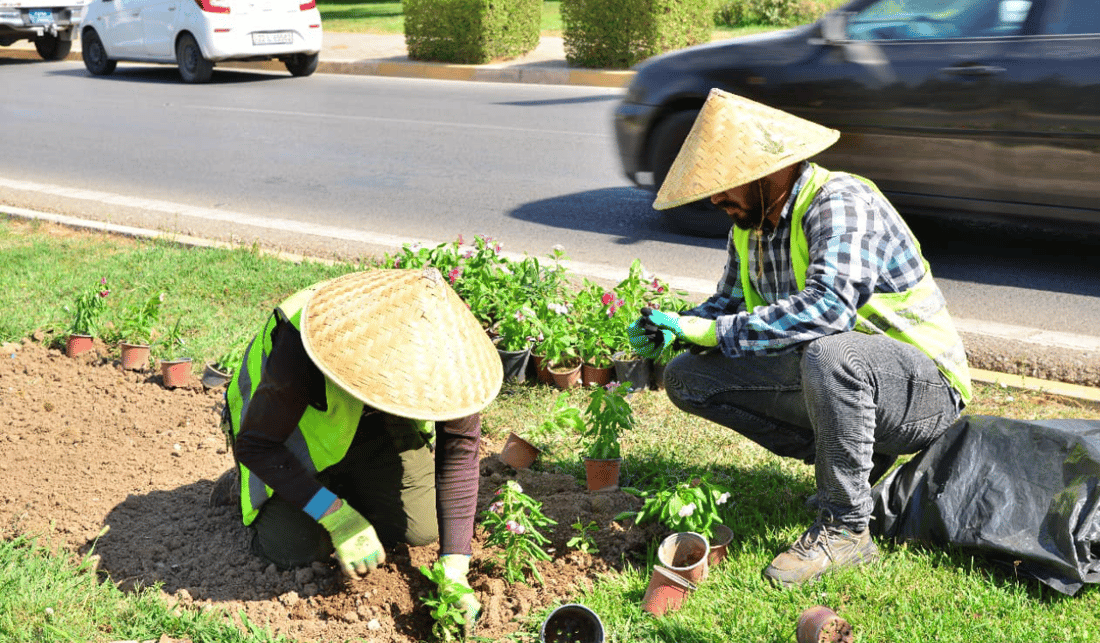 1600 دارو و گوڵ لە هەولێر دەچێندرێت 