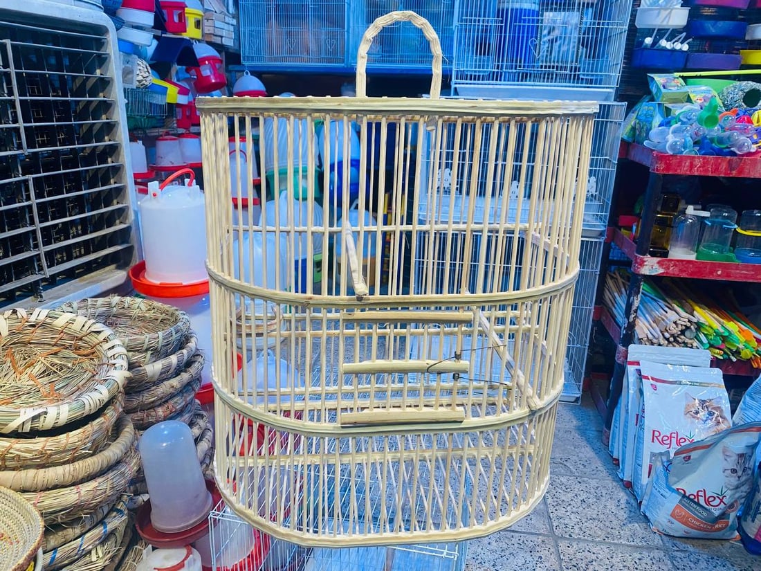 صور: حلَّ الخريف وبدأ موسم تزاوج البلابل.. سوق العمارة امتلأ بأقفاص سعف النخيل