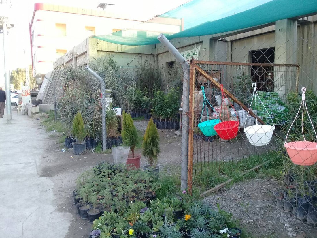 صور: بائع زهور يحوّل مدرسة في آلتون كوبري إلى مشتل.. ”مهجورة منذ 12 عاماً“