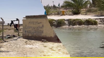 “ئەوەی ئیمانداربێت (مار)ێكی لێ پەیدا دەبێت”