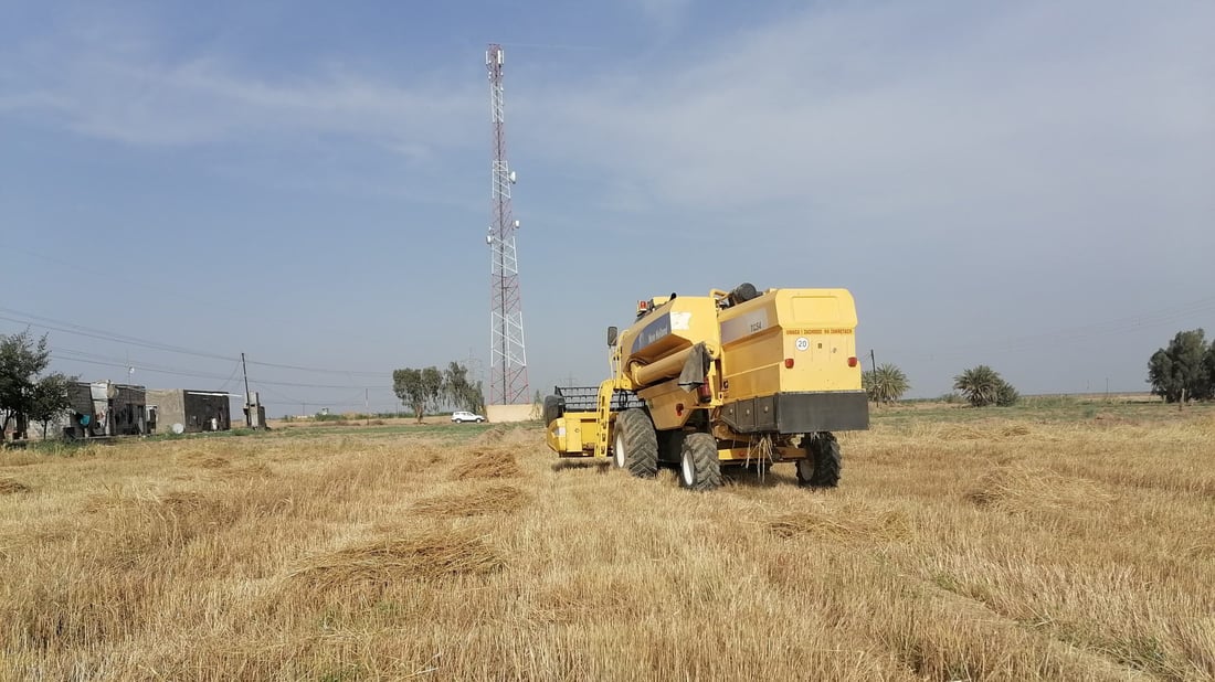 صور: شمال بغداد يحصد من الطارمية حتى تخوم صلاح الدين.. “صرف الأموال يشجعنا”