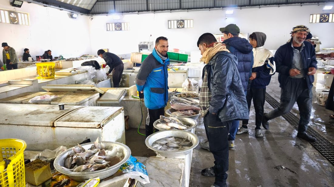 صور: سمكة بوزن 30 كغم وأطنان من البياح والزبيدي والروبيان في مزاد الفاو