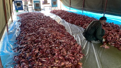 خەڵکی گوندی بێگەڵاس قوربانی ئەمساڵیان 5 تۆن گۆشت بوو
