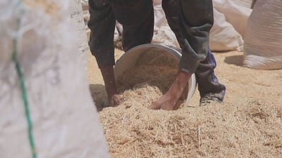 “کا” هەرزان بووە و کەسیش نایکڕێت