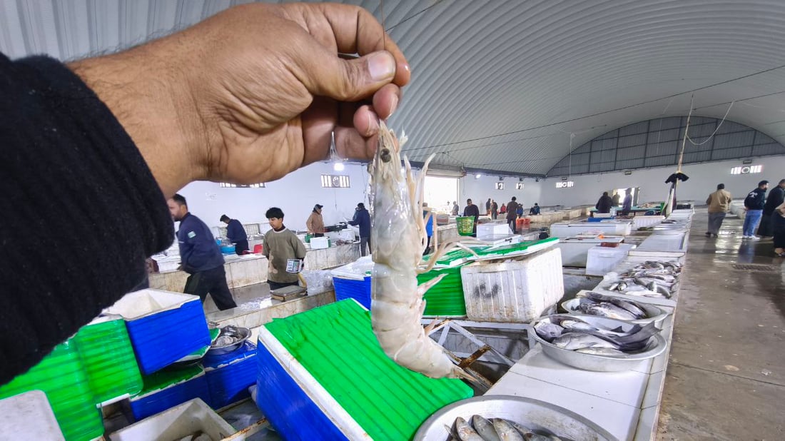 السبيطي والهامور وصلا مرسى النقعة.. قائمة بأسعار اليوم (صور)