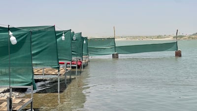 گەنجێک لەسەر رووباری کەڵەک ژمارەیەک کەپری گەشتیاری دروست کردووە