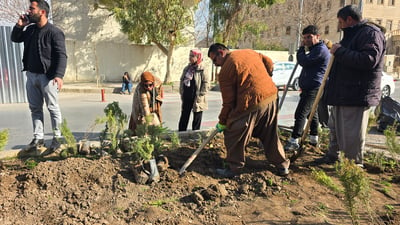 رێژەی سەوزایی لە سلێمانی خەریكە دەگاتە ستانداردی جیهانی