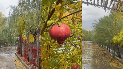 کەشەکە ئاسایی بووەوە و پلەکانی گەرما بەرزدەبنەوە