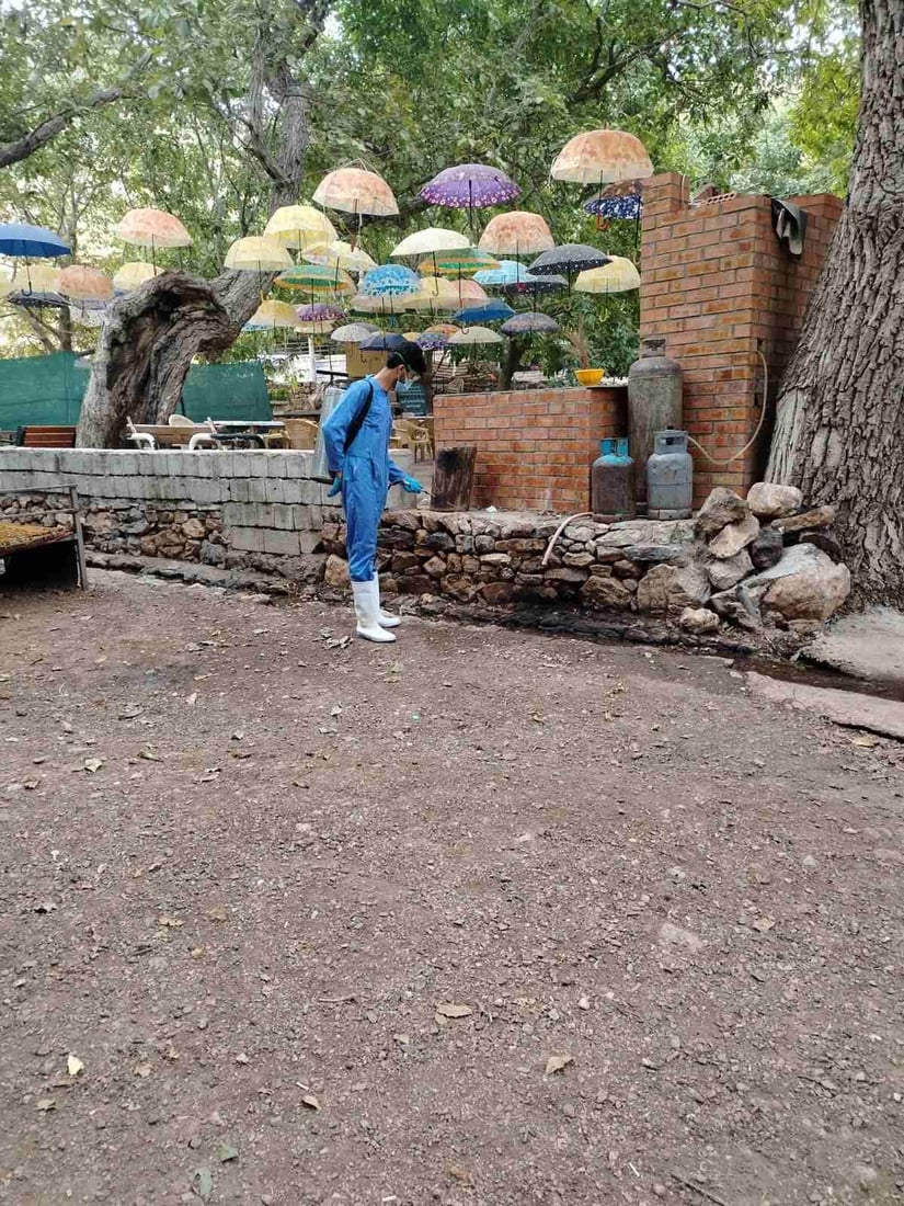 سەیرانگا و چەند شوێنێکی تەوێڵە و هەورامان دەرمانڕێژکران