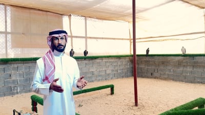 فيديو: صقر الخليج ينام في الأنبار بألف دولار.. إذا صاد “عراقياً” غلا ثمنه
