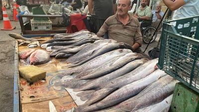 لە خانەقین نرخی ماسی دوو هێندە بەرزبووەتەوە 