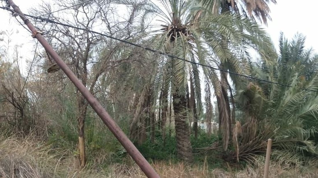 صور: عمود كهرباء ينذر بإحراق بساتين في الرميثة.. المديرية لازالت تفكر بحل