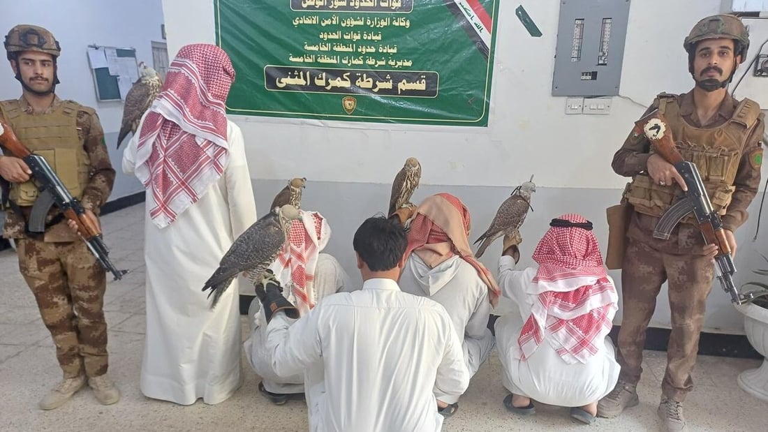 اعتقال 4 صيادين كويتيين ومرشد عراقي بحوزتهم 5 صقور في بادية المثنى
