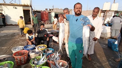 فيديو من مزاد أسماك الفاو: أسماء غريبة وأصناف كثيرة.. مقارنة بسعر بداية الأسبوع