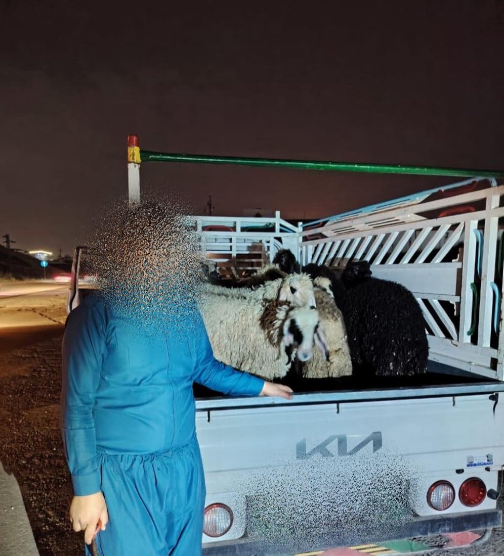 چوار ئۆتۆمبێل بە ئاژەڵی قاچاخەوە دەستیان بەسەرداگیرا