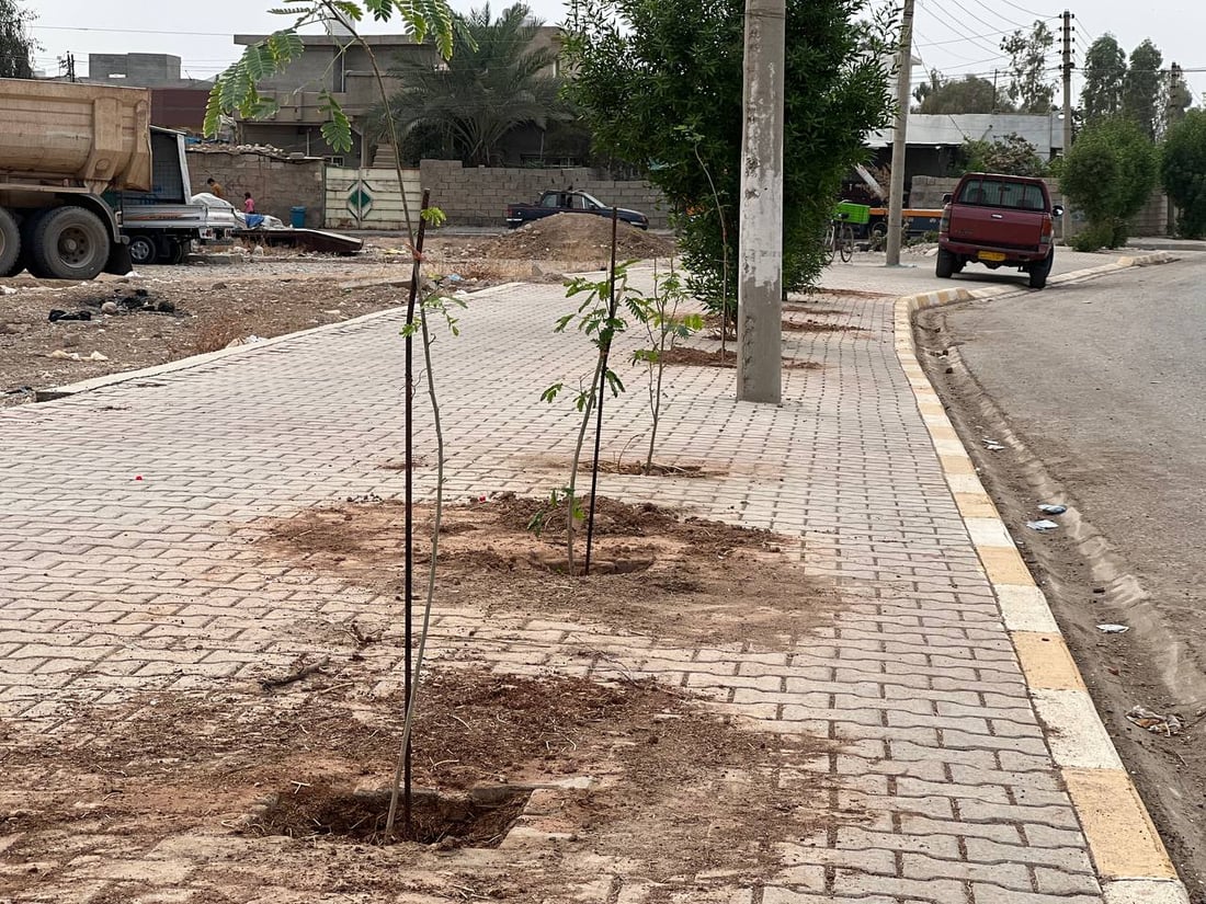 داقوق: حملة زراعة بدأت من “الثقلين” وحي الموظفين ولن تتوقف (صور)