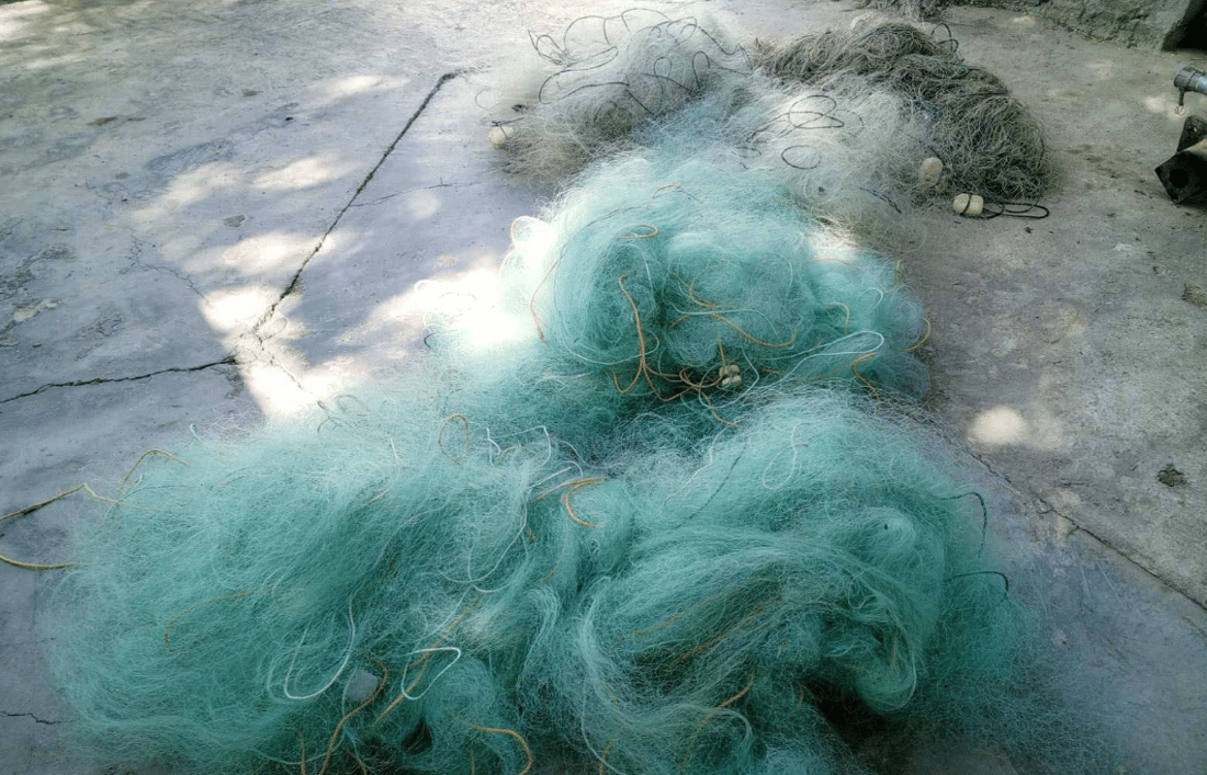 راوەماسی قەدەغەیە و راوچییان خۆیان پێناگیرێت