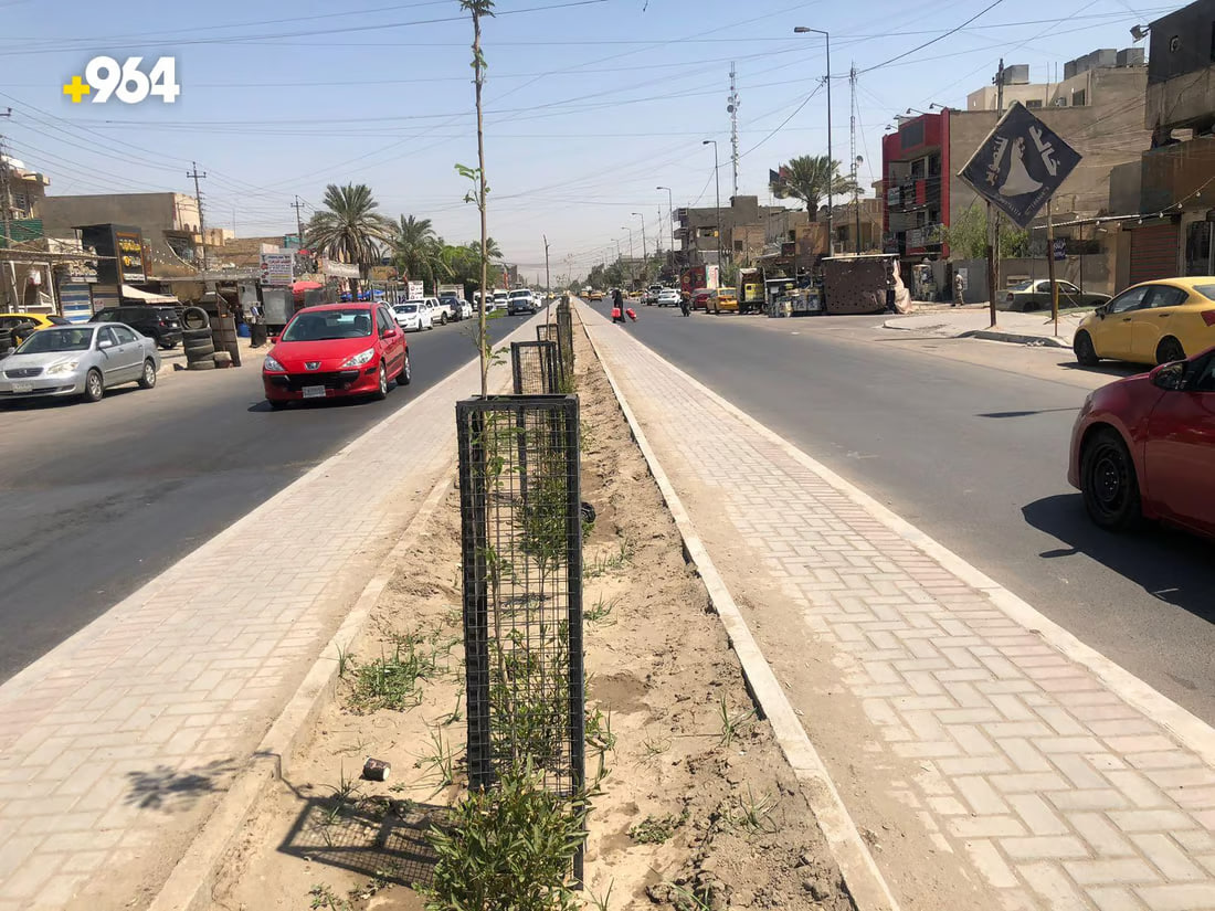 964mediaصورة من منصة (شبكة): 