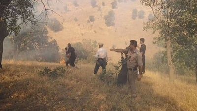 لەسەرەتاى ئەم مانگەوە؛ زیاتر لە 13 هەزار دۆنم دارستان و پوش و پاوان سووتاوە