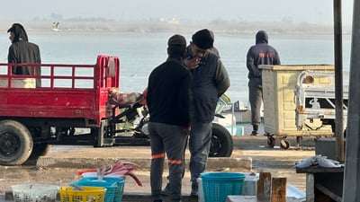 مزاد الفاو: السمك شحيح لتأخر جمعية الصيادين في تجديد رخصة الإبحار