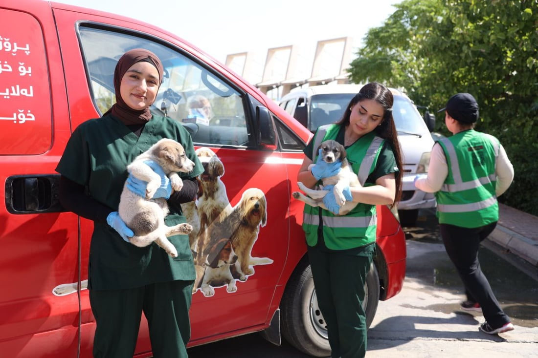 964mediaصورة من منصة (شبكة): 