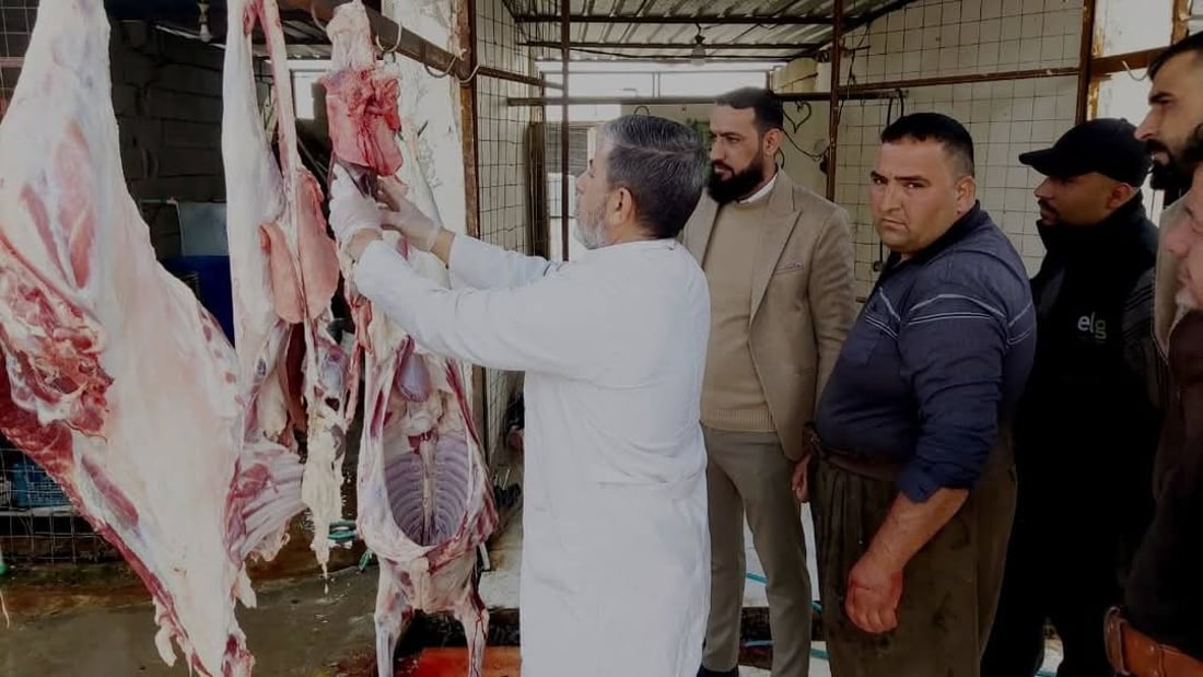 لە خورماتوو ئامادەکاری دەکرێت بۆ رووبەڕووبوونەوەی ڤایرۆسی FMD