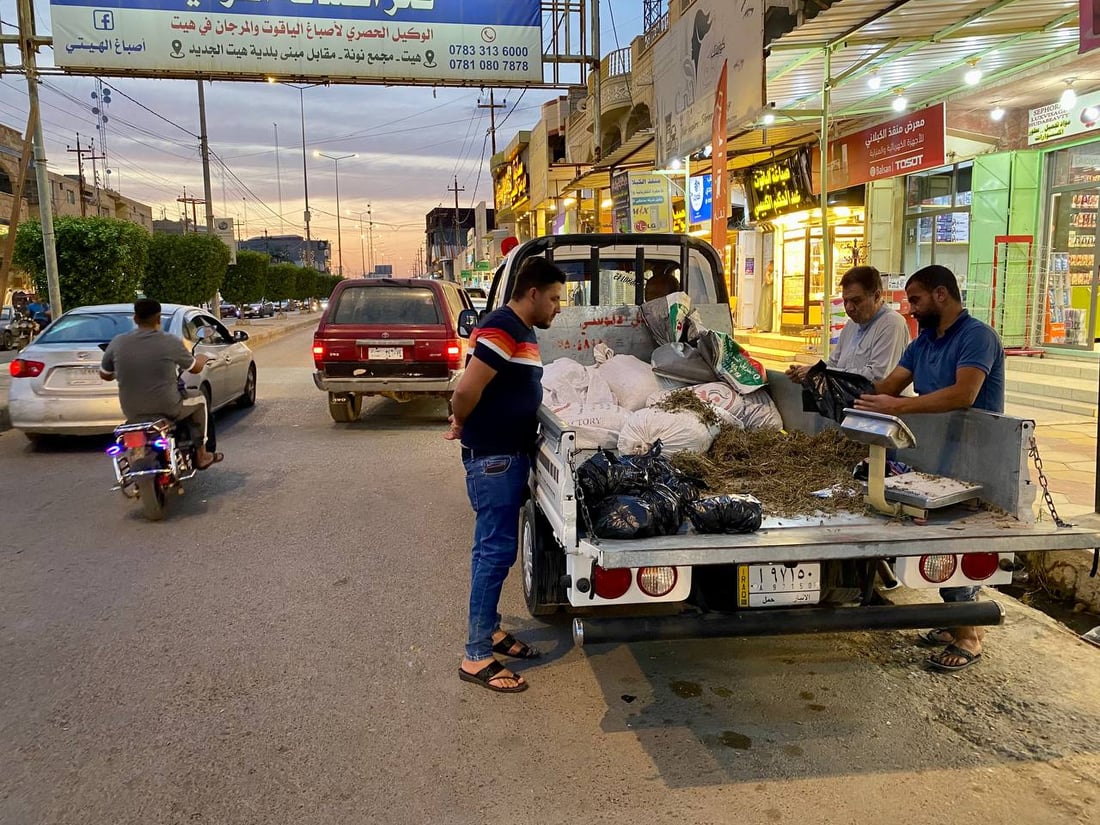 صور: بيع الزعتر العراقي في مدن الأنبار.. يفضّله أهل كبيسة وهيت