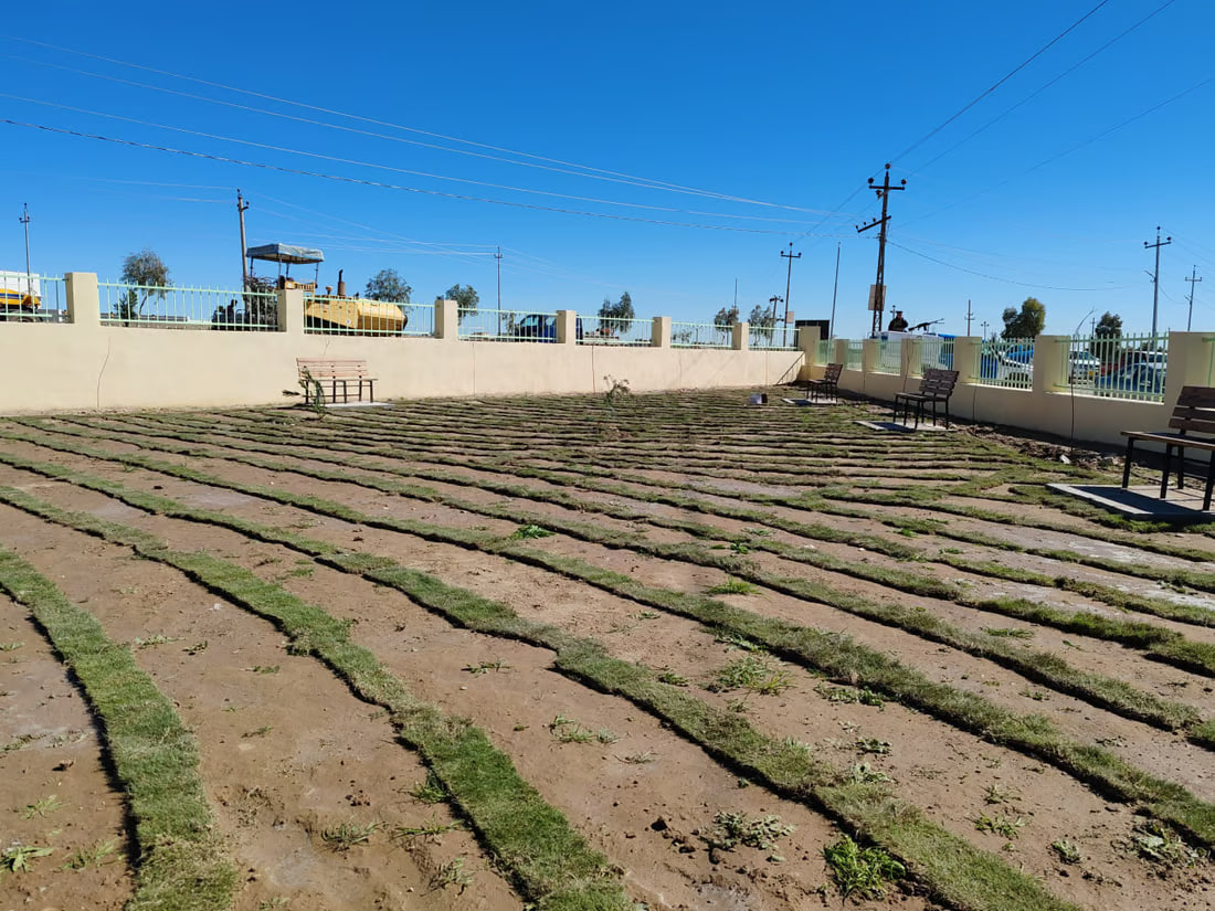 Rojhilat Garden opens in Sinjar, symbolizing community resilience