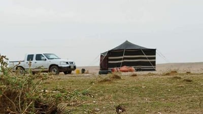 صور: صحراء السماوة تحولت إلى مروج خضراء.. والكشافة نصبوا الخيام (صور)