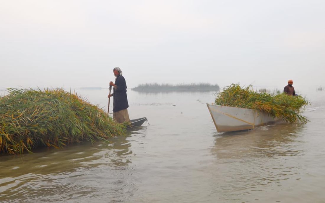 صور من الهور: الحويزة يتنفس من جديد بعد مياه الأمطار الأخيرة