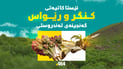 کنگر و ڕێواس: چێژ لەم دوو گەنجینە تەندروستییە وەربگرە
