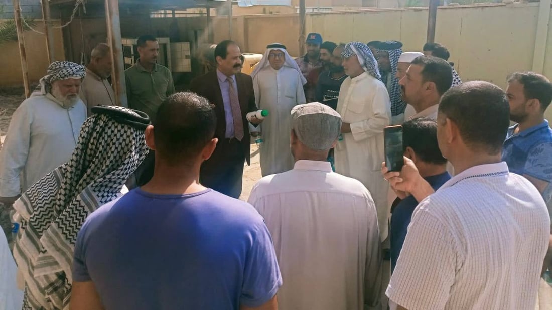 صور: البصرة تكافح “عنكبوت الغبار” في بساتين النخيل.. الفلاحون تسلموا المبيدات