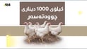 مریشک بەراورد بە هەفتەی رابردوو گران بووە