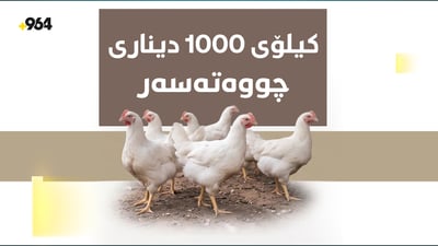 مریشک بەراورد بە هەفتەی رابردوو گران بووە