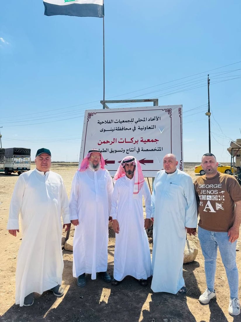 على خطى البصرة.. مزارعو غرب نينوى يطلقون جمعية لتسويق الطماطم (صور)
